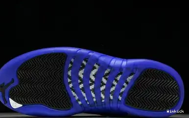 “Blueberry” CT8013-140 12 Jordan Air 0506